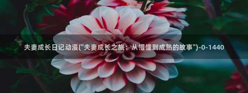 在线动漫:夫妻成长日记动漫(\